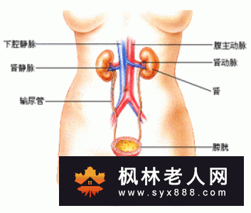 糖尿病容易引起白内障