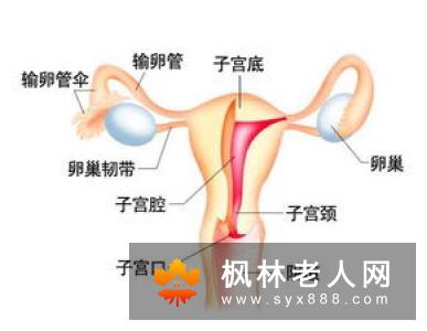 从来没怀孕过，输卵管怎么会堵塞