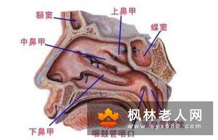 盘点老年人几种常见疾病   你知道的有哪些？