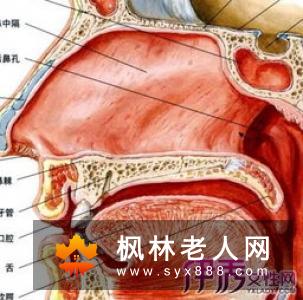 白内障的康复与保健方法有哪些呢