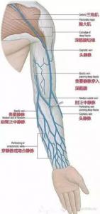 帮您理清白内障的概念