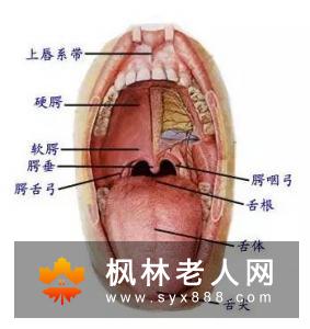 口腔溃疡怎样护理